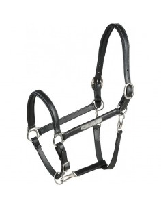 Licol cuir Grooming Eric...