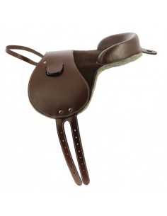 Bardette Norton Club