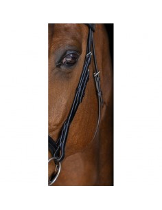 BRIDON ERIC THOMAS ELITE... 2