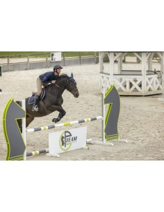 POLO PRO SERIES "RYTHM",...