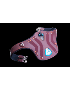 Sangle de garde eDiamond