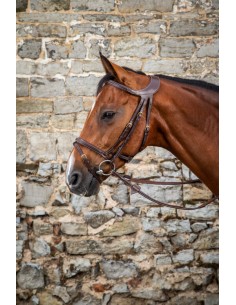 Bridon "Différence" DY'ON