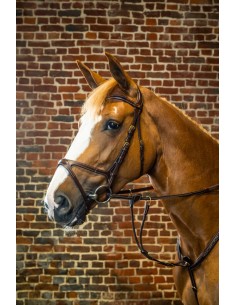 Bridon X-Fit DY'ON 2