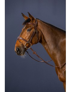 Bridon Muserolle Combinée...