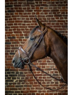 Bridon Muserolle Combinée... 2