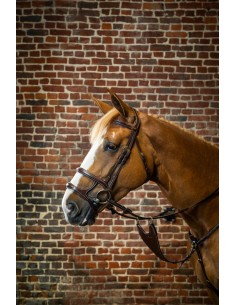 Bridon Double Muserolle DY'ON 2