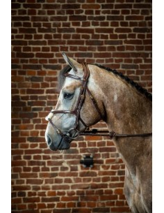 Bridon Muserolle Croisée DY'ON