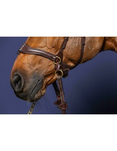 Muserolle D Motion + Cross...