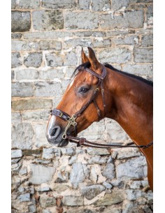 Bridon Hackamore DY'ON 2