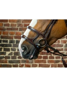 Double Muserolle DY'ON 2