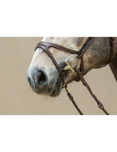 Muserolle X-Fit DY'ON