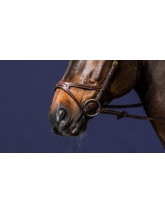 Muserolle X-Fit DY'ON 2