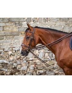 Rènes Allemandes Tout Cuir...