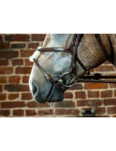 Muserolle Croisée DY'ON 2