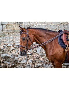 Rènes Allemandes Cuir/Nylon...