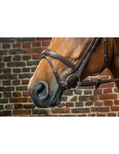 Muserolle Combinée DY'ON 2