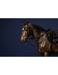 Fourchette Howlett DY'ON