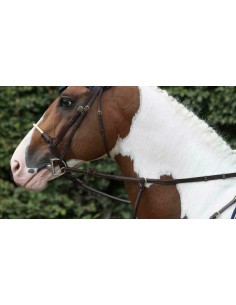 Rênes Tissu 5/8 Avec 9...