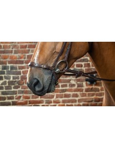 Muserolle Allemande...