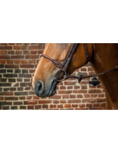 Muserolle En Corde...