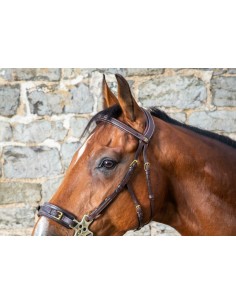 Tétière Hackamore DY'ON 2