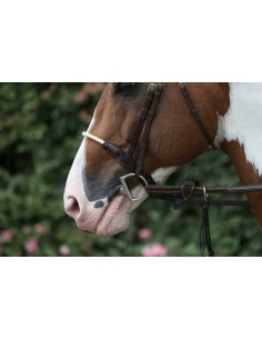 Muserolle Corde DY'ON