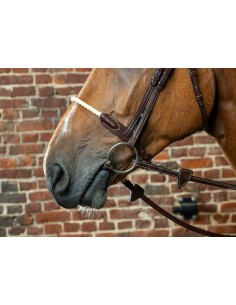 Muserolle Corde DY'ON 2