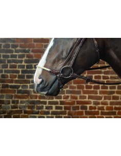 Muserolle Allemande En... 2