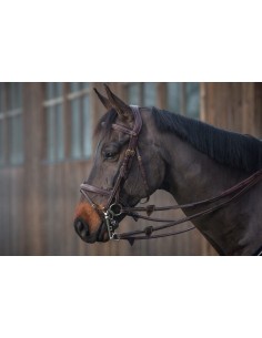 Double Montants DY'ON 2