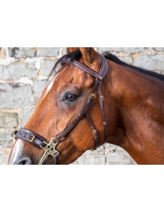 Montants Pour Hackamore DY'ON 2