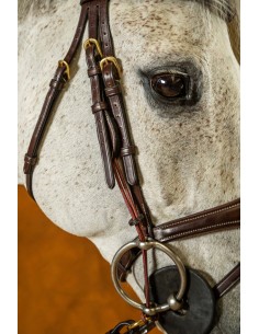 Montants De Releveur DY'ON