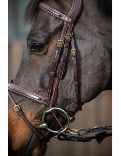 Montants De Releveur DY'ON 2