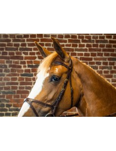 Montants Pour Tétière 1... 2