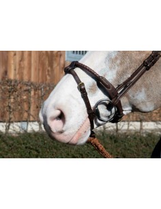 Sous Barbe 1/2 Avec 2...