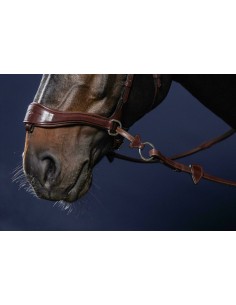 Bridon D Motion DY'ON