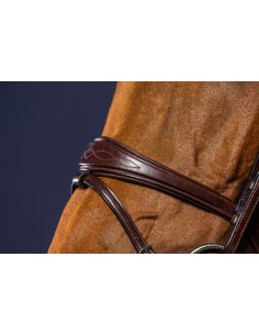 Bridon Muserolle Combinée...