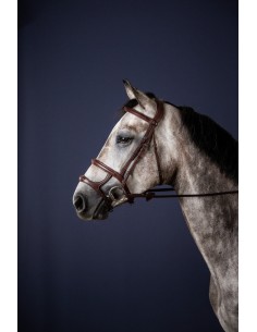 Bridon Muserolle Combinée...