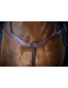 Collier De Chasse...