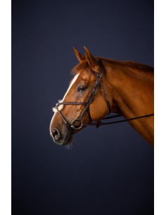 Bridon Muserolle Croisée DY'ON