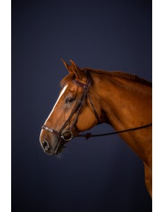 Bridon Muserolle Allemande...