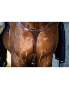 Collier De Chasse Long Pont...