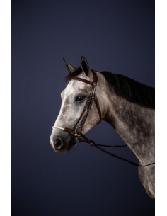 Bridon Muserolle Allemande...