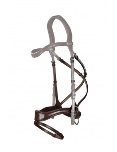 Muserolle D Motion + Cross... 2