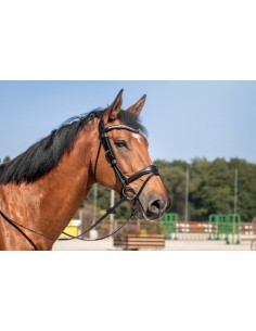 Frontal V Double Swarovski...