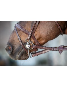 Rênes A Alliances... 2