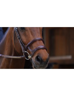 Double Muserolle DY'ON 2