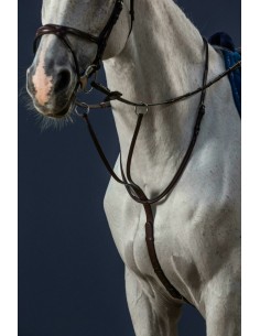 Martingale A Anneaux DY'ON