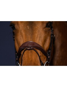 Muserolle Combinée...