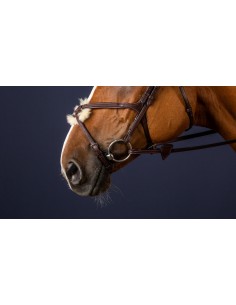 Muserolle Croisée DY'ON 2