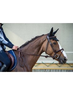 Rênes Caoutchouc 5/8 DY'ON